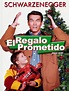 El Regalo Prometido (1996) DVDRip Español latino 1 link