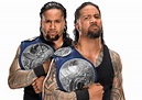 WWE ESPAÑA: The Usos Nuevos Campeones En Hell In A Cell