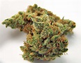 Northern Lights Weed Strain Reviews & Information