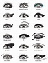 Different Eyeliner Styles to Try Now