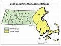 Extended archery deer season proposed | Mass.gov