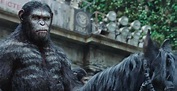 EL PLANETA DE LOS SIMIOS: CONFRONTACIÓN (DAWN OF THE PLANET OF THE APES ...