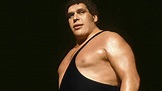 WWE Andre The Giant Wallpapers - Wallpaper Cave