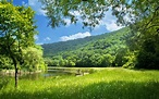 Imágenes de la hermosa naturaleza de verano. 100 fotos para tu escritorio