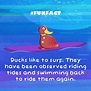 23 Fantastically Fun Facts for Kids | Night Zookeeper Blog