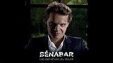 Bénabar Album 33T Les bénéfices du doute - YouTube