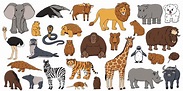 Cute vector isolated animals big set. Elephant, orangutan, monkey, lion ...