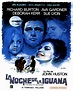 Cinemelodic: Crítica: LA NOCHE DE LA IGUANA (1964) -Parte 2/3-