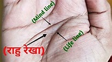 Hast Rekha Tips: हाथ में हों ये रेखाएं तो भाग्य और दुर्भाग्य की ओर है ...