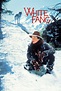 White Fang (1991) — The Movie Database (TMDB)