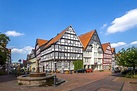 Visit Bad Wildungen: 2022 Travel Guide for Bad Wildungen, Hessen | Expedia