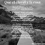 Poema Que el clavel y la rosa de Tirso De Molina - Análisis del poema