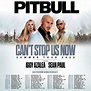 Pitbull's 2022 Can’t Stop Us Now Tour: See the Dates