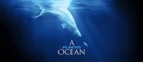 'A Plastic Ocean': free film screening - Frome Town Council