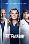 Watch Grey's Anatomy Online | Season 14 (2017) | TV Guide