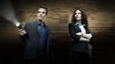 Ver Serie Almacén 13 (2009) | Warehouse 13 | Online Gratis HD Completa - Seriesflv