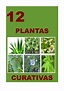 Plantas Medicinales Con Sus Nombres Y Su Uso - Plantă Blog