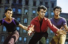 West Side Story Redux: West Side Story: The Jets, the Sharks, and the ...