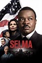 Selma (2014) - Posters — The Movie Database (TMDB)