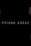 Prison Break: Visitations (TV Mini Series 2007–2008) - IMDb