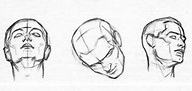 La struttura della testa secondo Andrew Loomis (introduzione: la testa ...