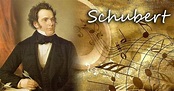 Franz Schubert, il genio musicale dalle due anime - Metropolitan Magazine
