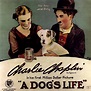A Dog's Life (1918)