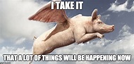 Things will happen now that pigs fly - Imgflip