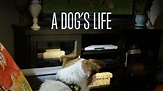 Watch A Dog's Life (2013) - Free Movies | Tubi