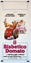 "IL BISBETICO DOMATO" MOVIE POSTER - "EL FIERECILLO DOMADO" MOVIE POSTER