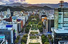 Sapporo: Japan's Unsung City | Rough Guides