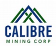 Calibre Mining (TSE:CXB) Trading Up 8.1% - Defense World