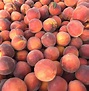 Georgia peaches set up for success in 2021 | Produce News