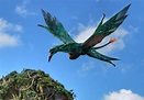 Pandora World of Avatar at Disney's Animal Kingdom Flight of Passage ...