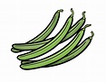 drawings of green beans - heathgnerre