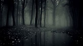 Dark Woods HD Backgrounds | PixelsTalk.Net