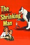 The Incredible Shrinking Man (1957) | The Poster Database (TPDb)