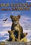 Due Cuccioli Nella Savana - Il Film: Amazon.it: John Dawner: Film e TV