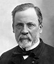 ¿Quién fue Louis Pasteur? ¿Qué hizo? (Resumen) - Saber es práctico