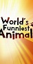 The World's Funniest Animals (TV Series 2020– ) - Full Cast & Crew - IMDb