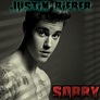 Justin Bieber Sorry by BerlinaAnthony on DeviantArt