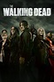 Análisis: Trailer Temporada 11 The Walking Dead - Horror Hazard