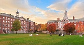 En qué invierte el fondo de la Universidad de Harvard - Forbes Argentina