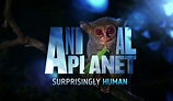 Animal Planet - Topfilmunivers