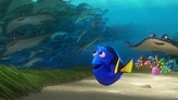 An Unforgettable Cast: The Faces and Fins of Finding Dory - D23