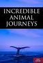 Incredible Animal Journeys - TheTVDB.com