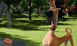 Trailer for Netflix's Upcoming Animated Movie MARMADUKE Starring Pete ...