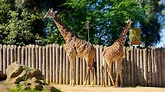 Sacramento Zoo in Sacramento, California | Expedia