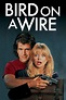 Bird on a Wire (1990) - Posters — The Movie Database (TMDB)