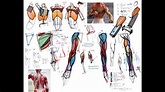 Analytical Figure Drawing I Class with Michael Hampton - YouTube